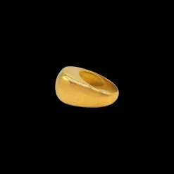 Susmie's Vidalita Ring< Golden